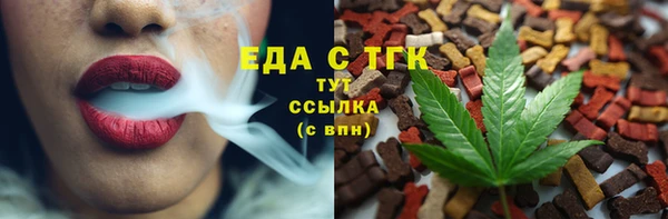 крисы Корсаков