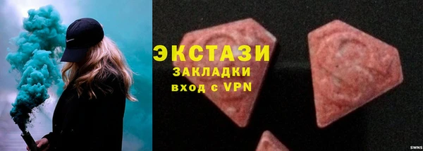 крисы Корсаков