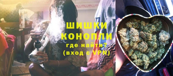 крисы Корсаков