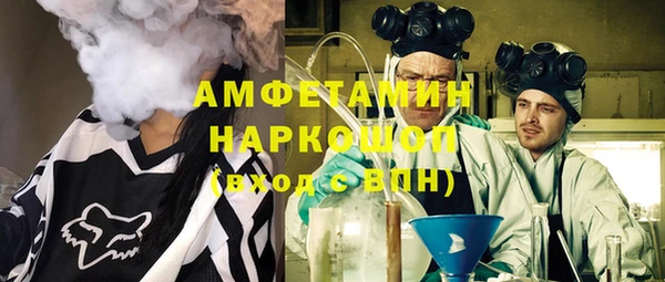 крисы Корсаков