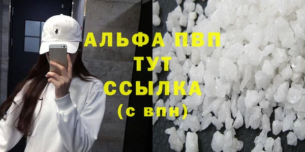 крисы Корсаков