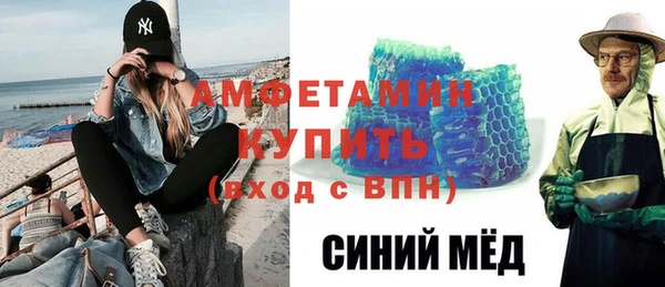 крисы Корсаков