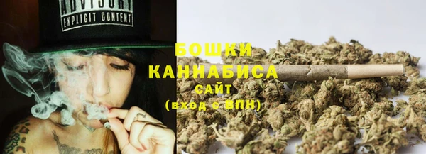 прущий лед Костерёво