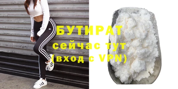 крисы Корсаков
