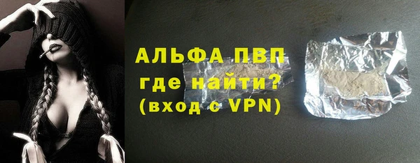 крисы Корсаков
