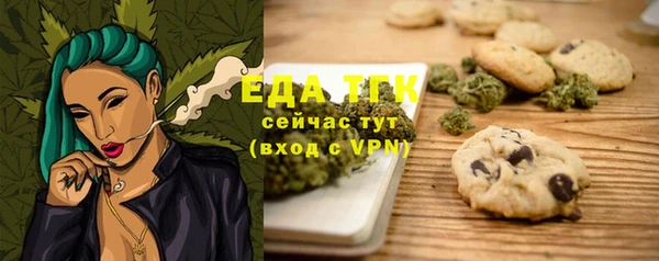 крисы Корсаков