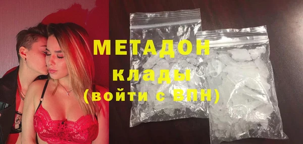 крисы Корсаков