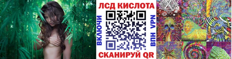 Марки N-bome 1,8мг  Купить  Венёв 