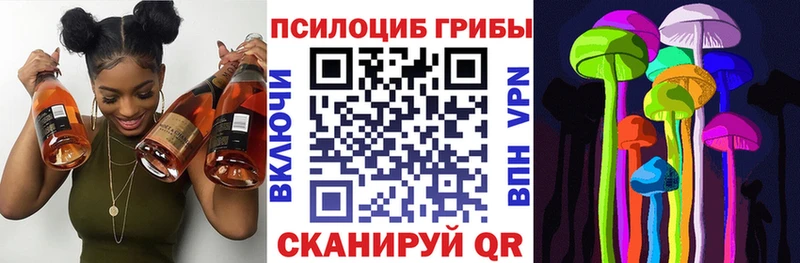 Купить где  Венёв  Псилоцибиновые грибы Psilocybine cubensis 
